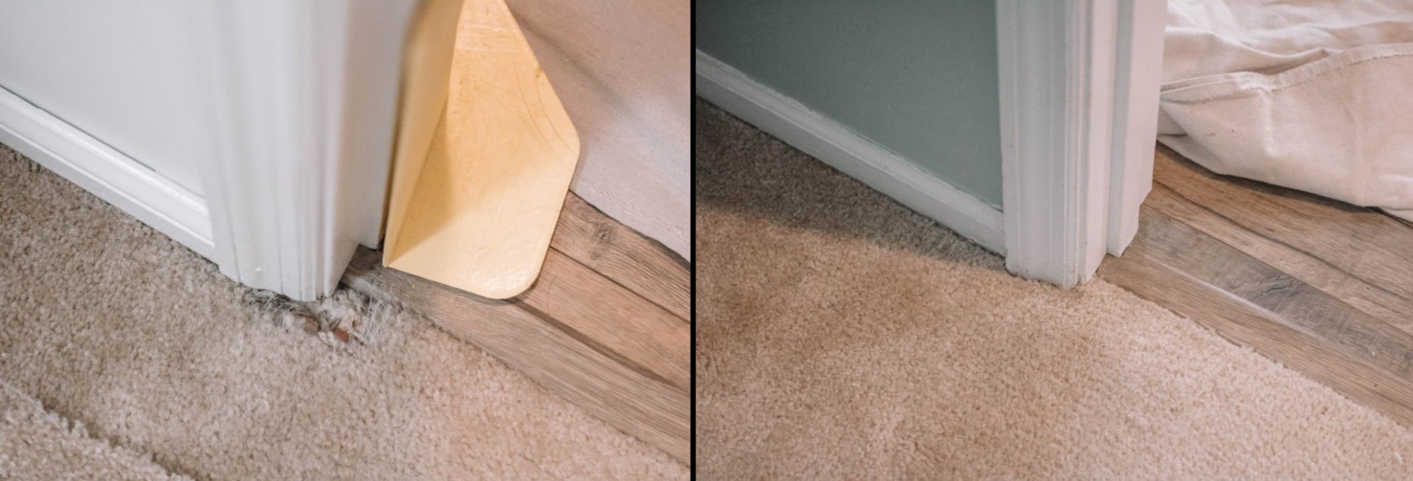 49 Carpet repair dog pet damage patch in bedroom Austin Ro…